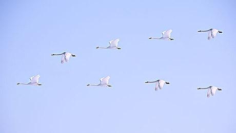 《完蛋 我被美女包围》Steam特别好评 全力追求六大美女